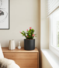 Load image into Gallery viewer, Black