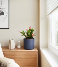 Load image into Gallery viewer, Deep Navy