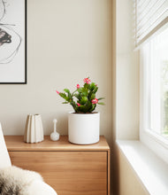 Load image into Gallery viewer, White