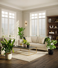 Load image into Gallery viewer, Chelsea