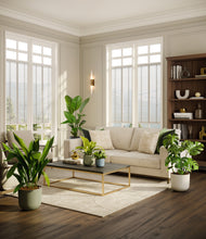 Load image into Gallery viewer, Earthy