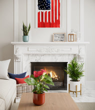 Load image into Gallery viewer, Liberty Hues