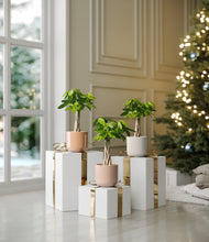 Load image into Gallery viewer, -