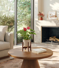 Load image into Gallery viewer, Frosted Rose stand:one_stand