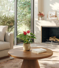 Load image into Gallery viewer, Verdant Ivory