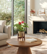 Load image into Gallery viewer, Verdant Ivory stand:one_stand