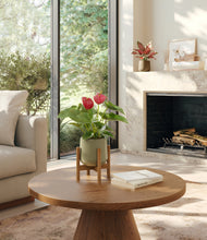 Load image into Gallery viewer, Woodland Hues stand:one_stand