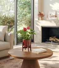 Load image into Gallery viewer, Terracotta Glow stand:one_stand