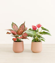 Load image into Gallery viewer, Blush Sands*****Profile