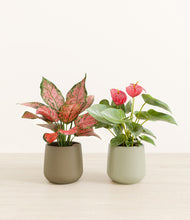 Load image into Gallery viewer, Woodland Hues*****Profile