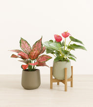 Load image into Gallery viewer, Woodland Hues stand:one_stand