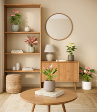 Load image into Gallery viewer, Earthy