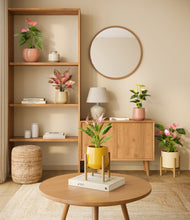 Load image into Gallery viewer, Evening Sky stand:two_stands