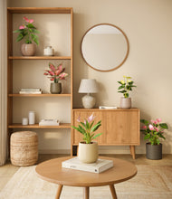 Load image into Gallery viewer, Woodland