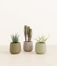 Load image into Gallery viewer, Earthy*****Profile