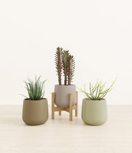 Load image into Gallery viewer, Earthy stand:one_stand