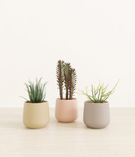 Load image into Gallery viewer, Sandy*****Profile