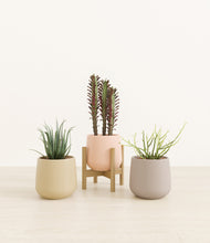 Load image into Gallery viewer, Sandy stand:one_stand