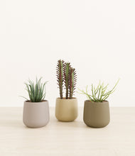 Load image into Gallery viewer, Woodland*****Profile