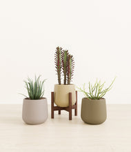 Load image into Gallery viewer, Woodland stand:one_stand