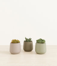 Load image into Gallery viewer, Earthy*****Profile