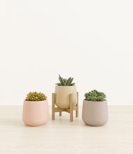 Load image into Gallery viewer, Sandy stand:one_stand