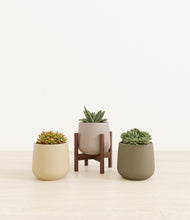 Load image into Gallery viewer, Woodland stand:one_stand