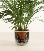 Load image into Gallery viewer, Sandy Pink stand:all