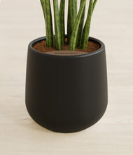 Load image into Gallery viewer, Black stand:all