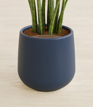 Load image into Gallery viewer, Deep Navy stand:all