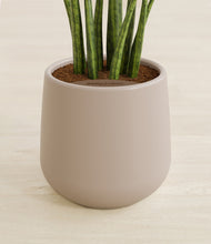 Load image into Gallery viewer, Eternal Gray stand:all