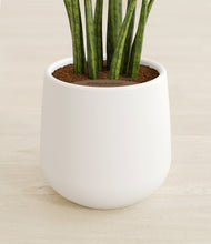 Load image into Gallery viewer, White stand:all