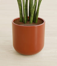 Load image into Gallery viewer, Earth Red stand:all