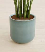 Load image into Gallery viewer, Reactive Aqua stand:all