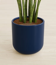 Load image into Gallery viewer, Twilight Blue stand:all