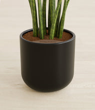 Load image into Gallery viewer, Stone Black stand:all