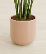 Load image into Gallery viewer, Glossy Pink stand:all