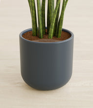 Load image into Gallery viewer, Iron Gray stand:all