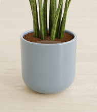 Load image into Gallery viewer, Misty Blue stand:all