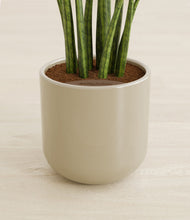 Load image into Gallery viewer, Sage Green stand:all