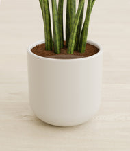 Load image into Gallery viewer, Cotton White stand:all