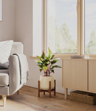 Load image into Gallery viewer, Almond Green stand:walnut