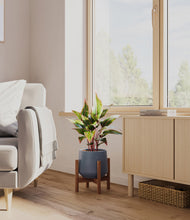 Load image into Gallery viewer, Deep Navy stand:walnut