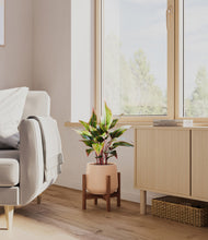 Load image into Gallery viewer, Gentle Pink stand:walnut