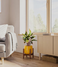 Load image into Gallery viewer, Mustard stand:walnut