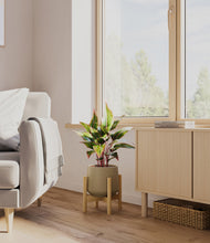 Load image into Gallery viewer, Olive stand:bamboo