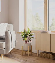 Load image into Gallery viewer, Eternal Gray stand:bamboo