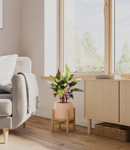 Load image into Gallery viewer, Gentle Pink stand:bamboo