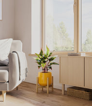 Load image into Gallery viewer, Mustard stand:bamboo