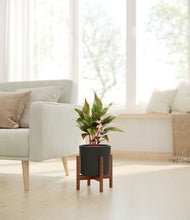 Load image into Gallery viewer, Black stand:walnut